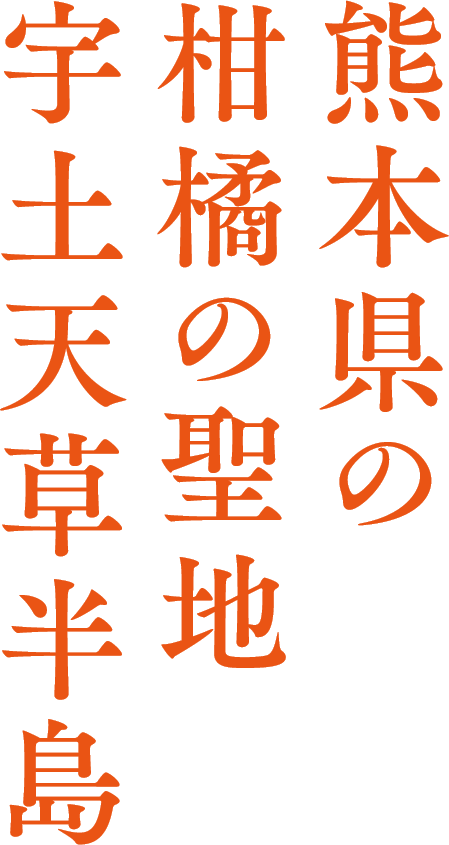 熊本県の柑橘の聖地 宇土天草半島